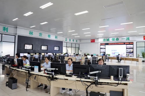 云投林纸荣膺省级工业互联网试点示范，引领普洱市产业数字化转型